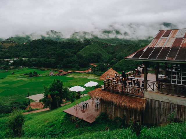 คาเฟ่นี้สวยที่สุดหน้าฝน🌿
