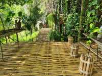 Sloth Suanphueng
