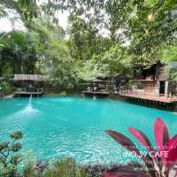 No.39 Cafe - คาเฟ่ที่มีบรรยากาศสุดผ่อนคลาย