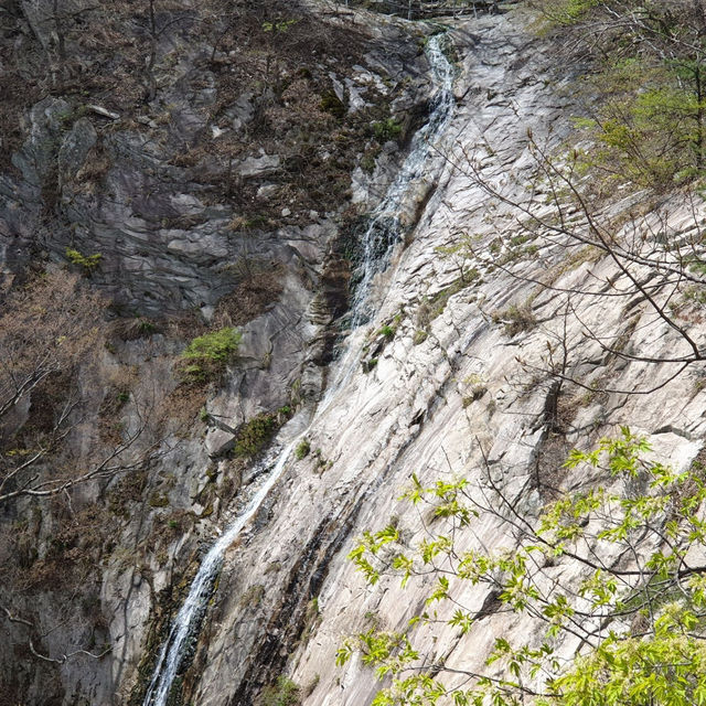 계룡산 코스 : 갑사, 삼불봉, 관음봉, 은산폭포까지 정복🌳