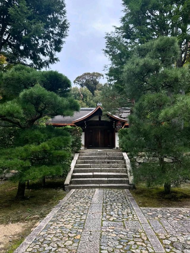 Hanging Out at Tofukuji 
