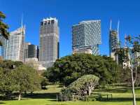 Royal Botanic Garden Sydney – Scenic, Spacious, and Free!