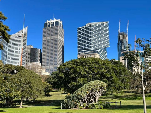 Royal Botanic Garden Sydney – Scenic, Spacious, and Free!
