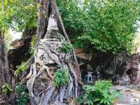 วัดบางกะพ้อม
