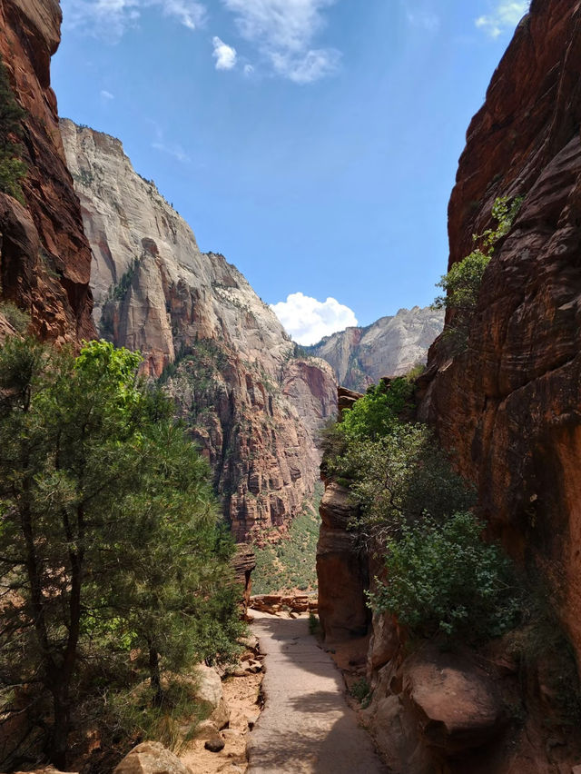 👼 Zion’s Most Thrilling Hike: Angel’s Landing Guide