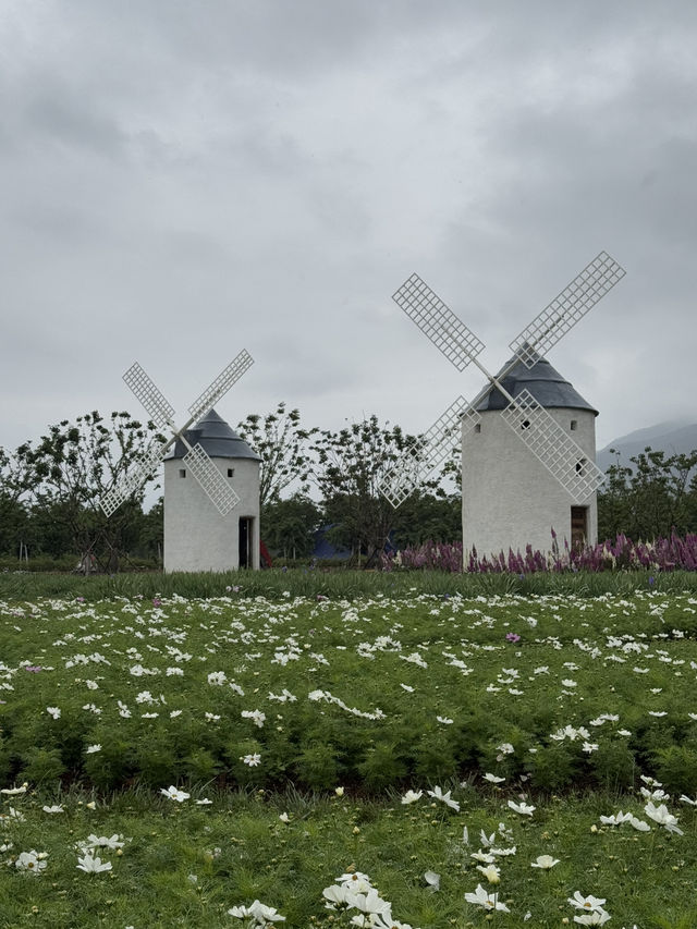 Raindrops & Blossoms: A Dreamy Stroll Through Tinghua Valley