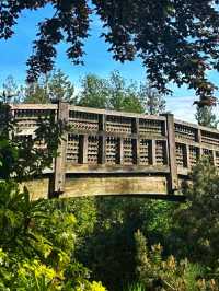 Queen Elizabeth Park – Vancouver’s Elevated Garden Sanctuary