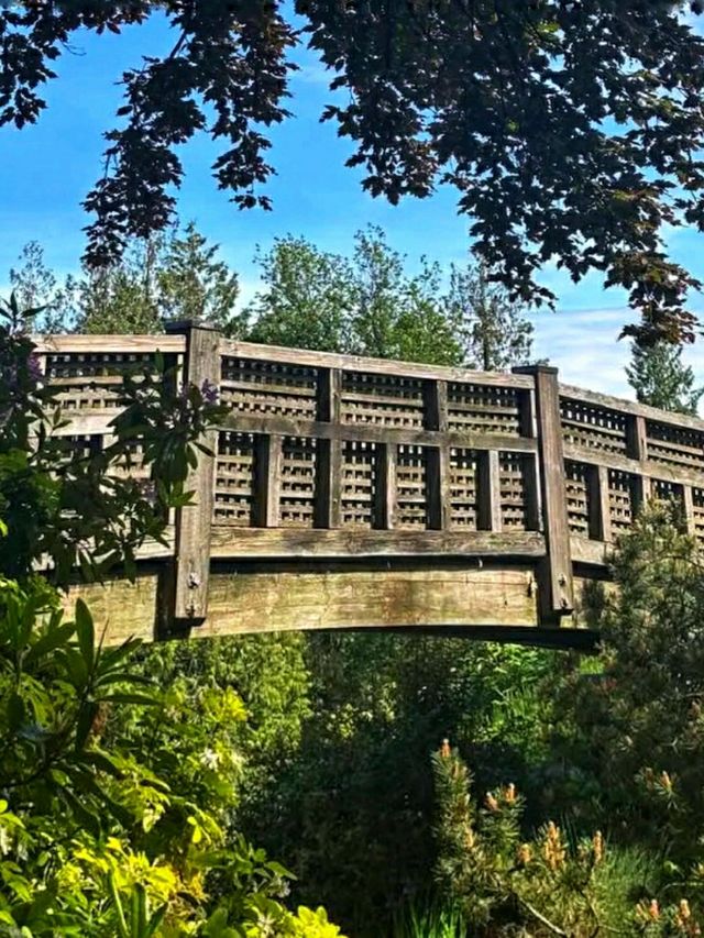 Queen Elizabeth Park – Vancouver’s Elevated Garden Sanctuary