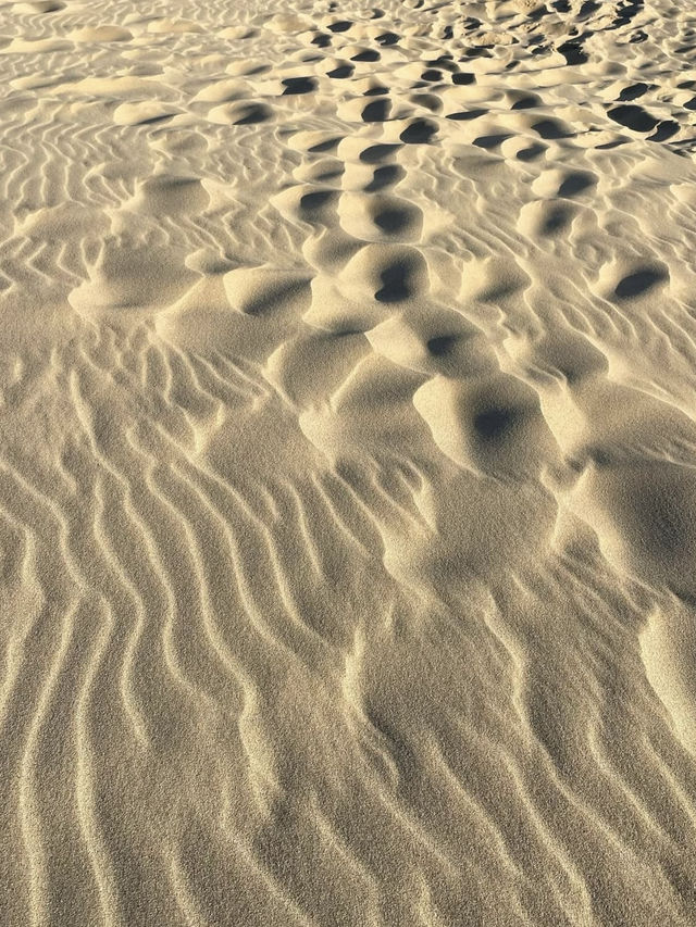 A Day of Desert Adventures in Tottori 🏜️✨