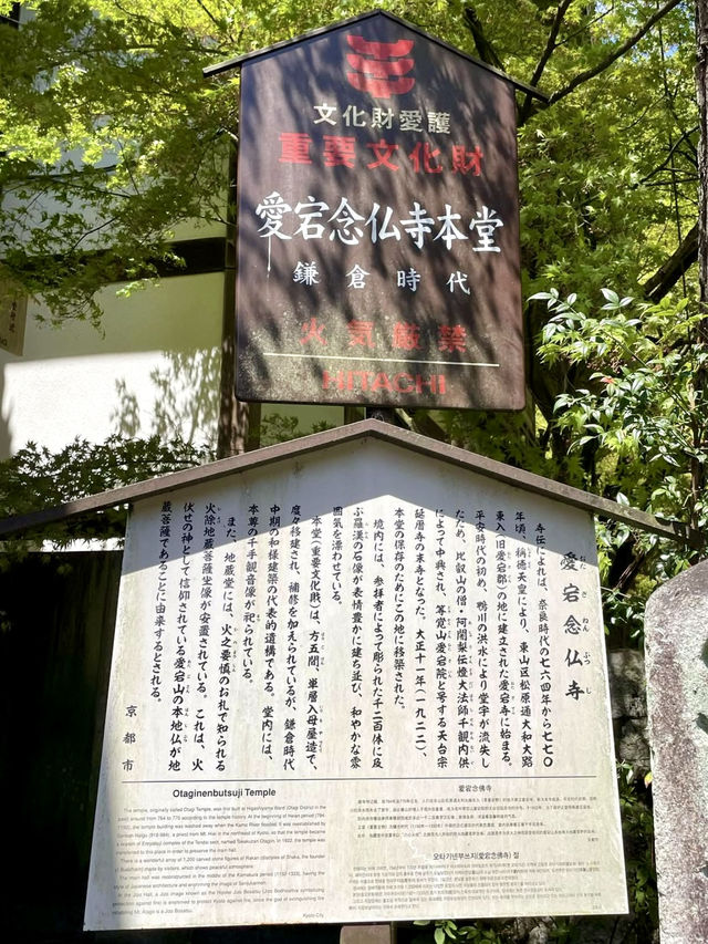 A Peaceful Day Exploring Oku-Saga, Kyoto 🌿