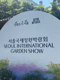 꽃놀이 가보자