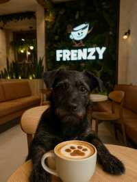 Frenzy Specialty Coffee Shop