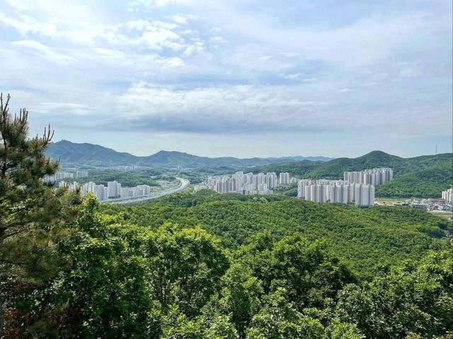 Forest Feels, Sweaty Climbs, and Major Main Character Energy