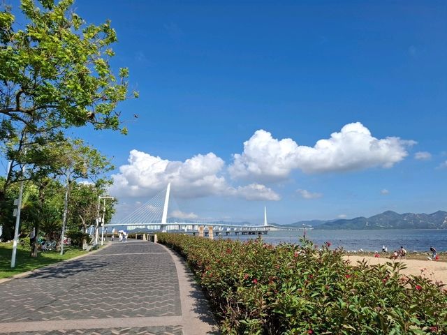 深圳最悠閒的海濱單車徑🚲海上世界至深圳灣公園