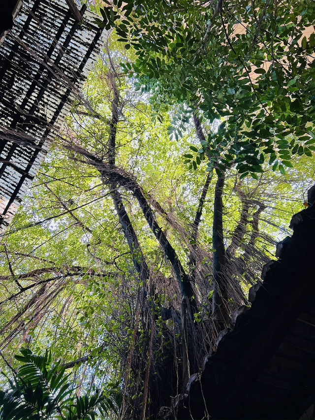 “A Glimpse of British Malaya in the Heart of Ipoh”