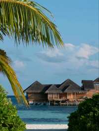 🌊 Gili Lankanfushi Maldives: Where Shoes Are Off and Magic Is On 💫👣