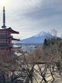 一日行程體驗🗻富士山🗻