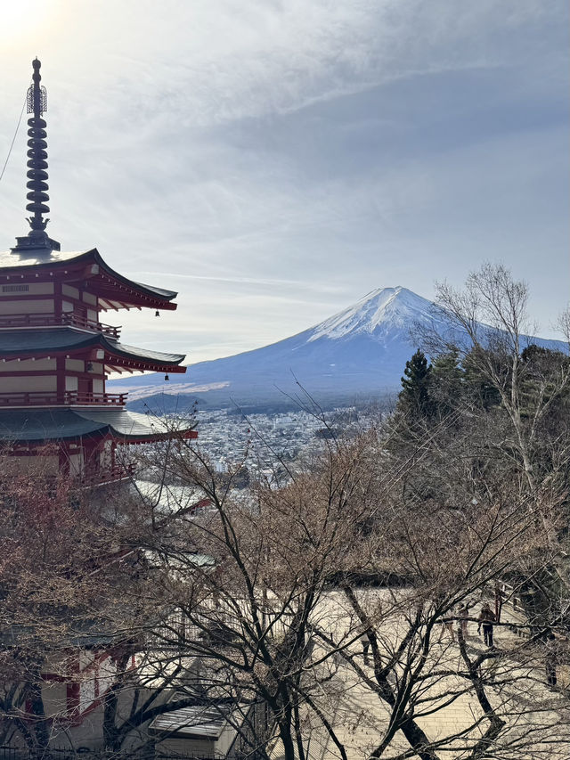 一日行程體驗🗻富士山🗻