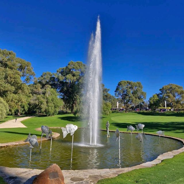 Kings Park & Botanic Garden – Perth, WA
