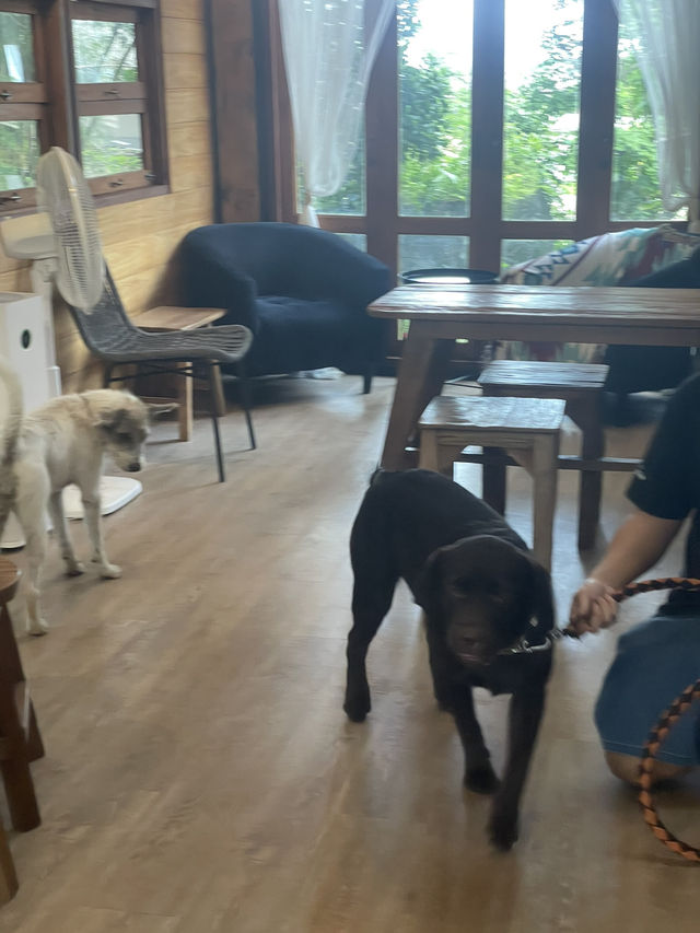 ☕ KAWAN Home Coffee – A Cozy Café in Mae