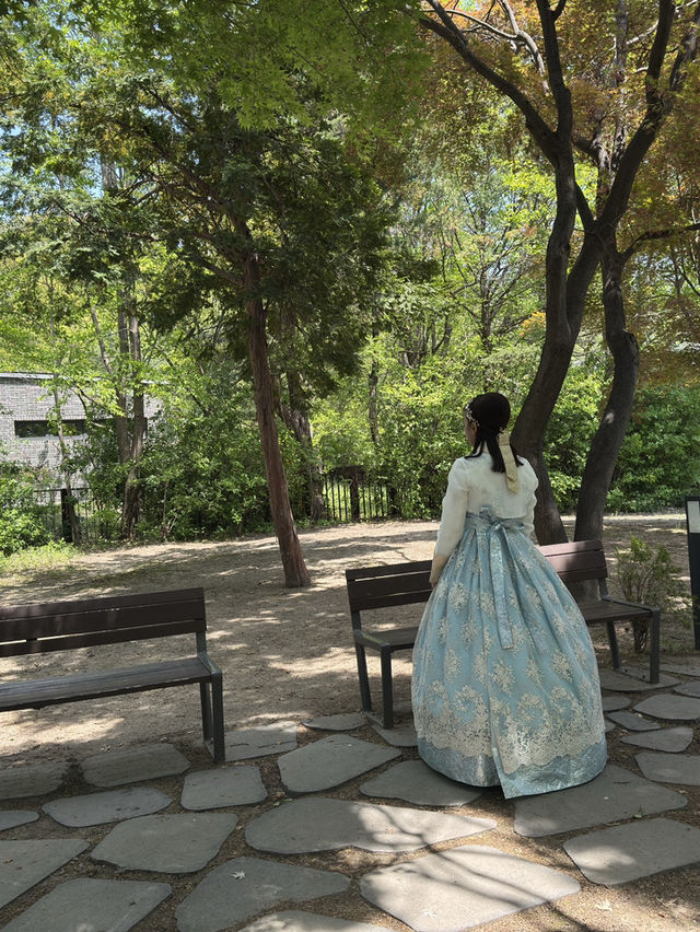 🌸 A Dreamy Birthday Moment at Gyeongbokgung Palace, Seoul 👘🎂