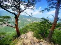 Dutasan: The Mountain That Pretends to Be Chill (But Isn’t)