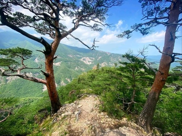 Dutasan: The Mountain That Pretends to Be Chill (But Isn’t)