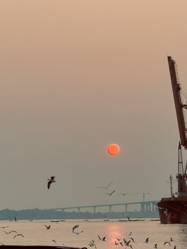 🌇 Chasing Sunsets & Feeding Birds at Botataung Jetty