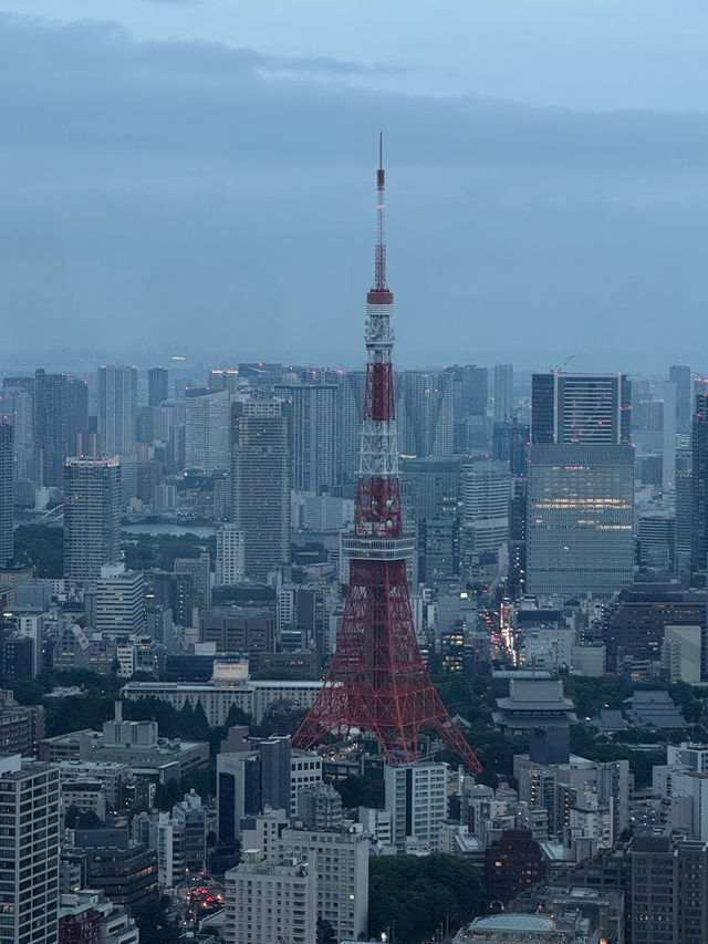 🗼처음이라 더 좋았던 도쿄 3박 4일 여행기