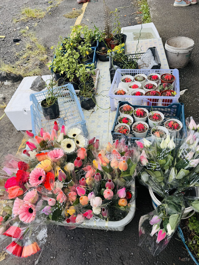 Blooms and Bargains at Kundasang Market 