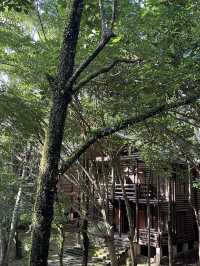 Rustic Escape and Nature-Inspired Luxury at Philea Resort & Spa Melaka