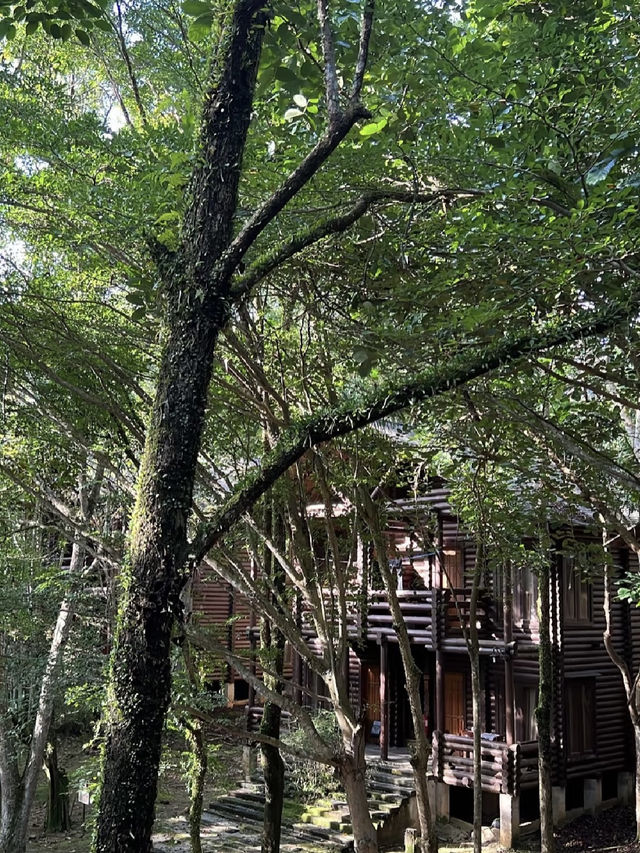Rustic Escape and Nature-Inspired Luxury at Philea Resort & Spa Melaka