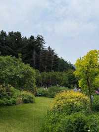 Wandering Around Achimgogyo Arboretum