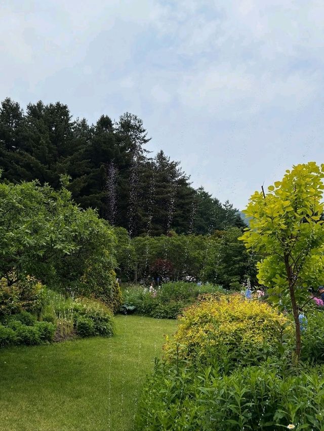 Wandering Around Achimgogyo Arboretum