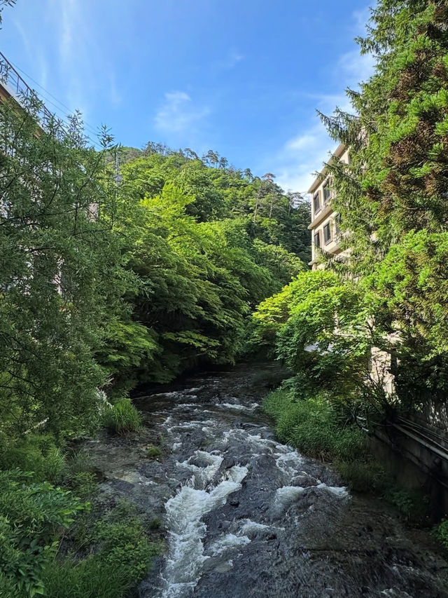 🏞【福島・裏磐梯】五色沼湖沼群｜色が変わる不思議な湖をめぐる“癒しのネイチャートリップ”