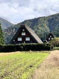  🏞️走進童話山村｜白川鄉合掌村秋日漫遊