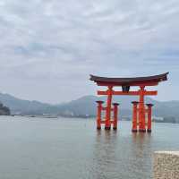 【広島/宮島🇯🇵】神秘的な風景に心揺れる⛩ 嚴島神社