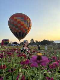 Heaven is a Field of Flowers and a Sky Full of Balloons @Aunty Nok Aeang Flower Farm, Chaing Mai 🎈🌸