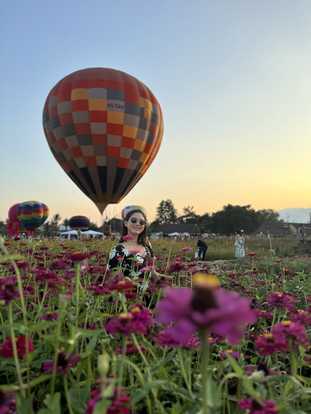 Heaven is a Field of Flowers and a Sky Full of Balloons @Aunty Nok Aeang Flower Farm, Chaing Mai 🎈🌸