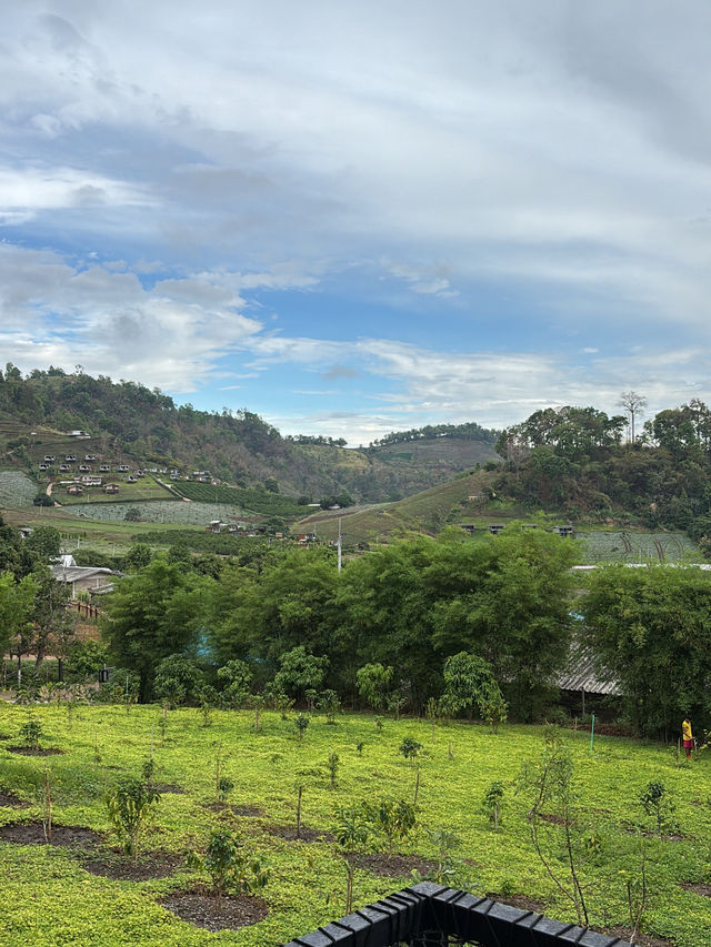 A Quiet Escape at Cherpue, Chiang Mai