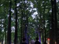 Walking around will feel as if you're in nature 24/7