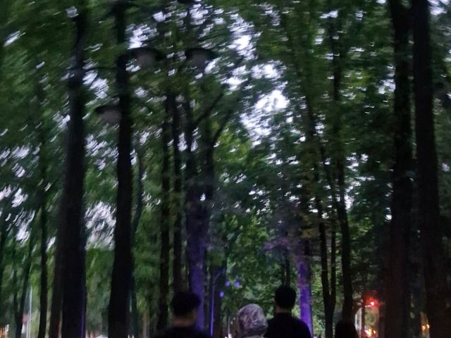 Walking around will feel as if you're in nature 24/7