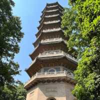 ⛰️ Nanjing Zhongshan Scenic Area – More Than Just 392 Steps 