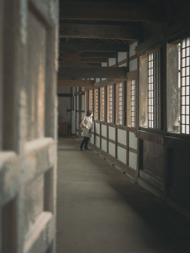 国宝・瑞龍寺で心洗われるひとときを✨富山・高岡の静寂旅