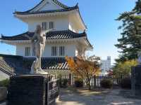 Shimabara Castle: A Hidden Gem of Samurai, Rebellion, and Tranquil Views