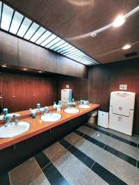 THE HEDISTAR HOTEL, Narita, Japan