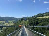 Black Forest Adventure: A Day Trip from Freiburg 🎢🌉🏞️
