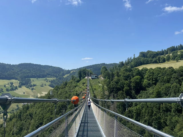 Black Forest Adventure: A Day Trip from Freiburg 🎢🌉🏞️