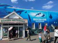 【越前松島水族館でふれあい満喫🐬】海の仲間と過ごす癒しの時間🌊✨