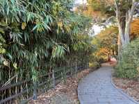 ⛩️ Benzaiten Temple – A Quiet Stop on Fukuurashima